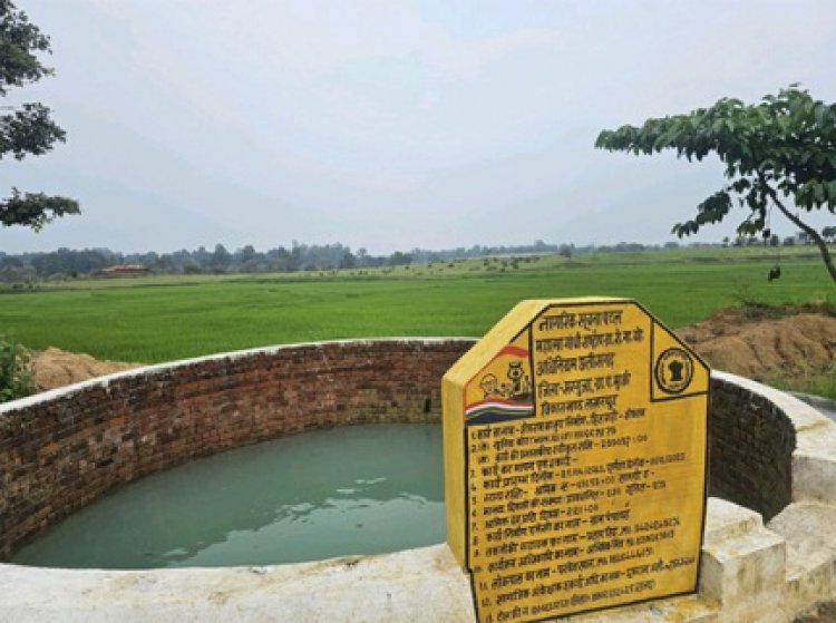 कभी बारिश के पानी पर ही थे निर्भर, मनरेगा के तहत कूप निर्माण से मिली सिंचाई की सुविधा, किसान शेषराम के खेतों में अब बारहों महीने रहती है हरियाली