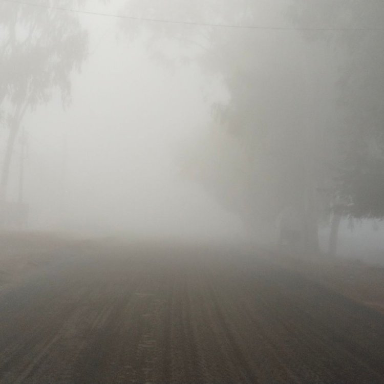 श्योपुर में न्यूनतम तापमान 9 डिग्री दर्ज:स्कूलों में 2 दिन की छुट्टी, 8 किमी प्रति घंटे की रफ्तार से चल रही हवाएं