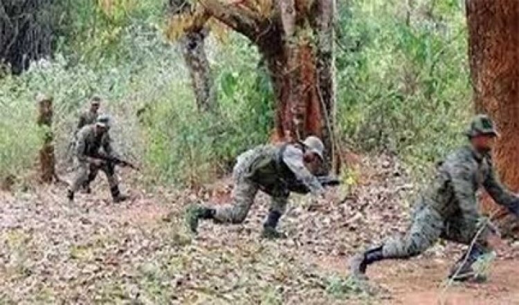 छत्तीसगढ़ के गरियाबंद में सुरक्षा बलों के साथ मुठभेड़ में 14 नक्सली ढेर