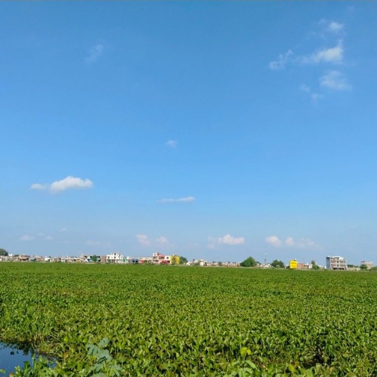 दतिया में कम हुआ सर्दी का असर:अभी हल्की ठंड का अहसास, 48 घंटे बाद 2-3 डिग्री तक गिरेगा तापमान