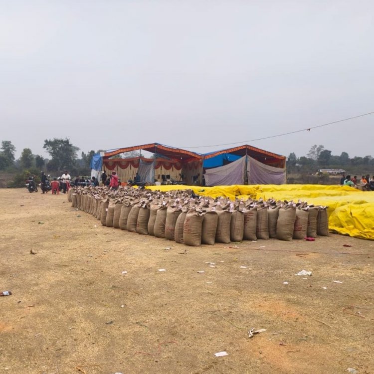 अनूपपुर में धान खरीदी का लक्ष्य पूरा:18,651 किसानों से 9,81,467 क्विंटल धान की हुई खरीदी, 102 करोड़ का भुगतान अटका