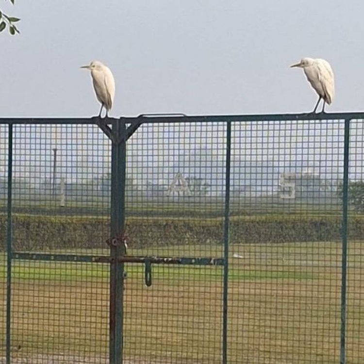 मौसम का उतार-चढ़ाव जारी, 2-3 फरवरी को बारिश का अलर्ट:आगरा में तेज धूप से फिर बढ़ा न्यूनतम तापमान, 1 फरवरी तक खुला रहेगा मौसम