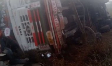 असंतुलित होकर ट्रक पलटा, 20 मवेशियों की मौत:ट्रक चालक गंभीर घायल, मध्य प्रदेश से अलीगढ़ जा रहे थे