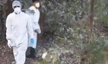 छत्तीसगढ़ के रायगढ़ के सरकारी पोल्ट्री फार्म में फैला बर्ड फ्लू