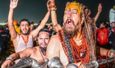 बसंत पंचमी के अमृत स्नान पर्व से शुरू हुई वैष्णव अखाड़ों की अद्भुत अग्नि स्नान साधना