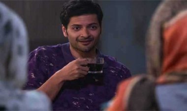 अली फज़ल की हॉलीवुड फिल्म रुल ब्रेकर्स उत्तर अमेरिका में सात मार्च को होगी रिलीज़