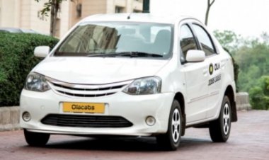 ओला कंज्यूमर की आय वित्त वर्ष 24 में 21 प्रतिशत घटकर 2,368 करोड़ रुपये रही