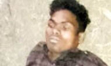 पेड़ से टकराई बाइक, युवक की  मौत