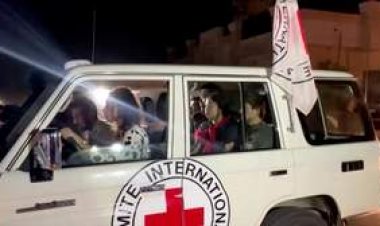 हमास ने शिरी बिबास का शव रेड क्रॉस का सौंपा, फिलिस्तीनी ग्रुप ने गलती का ठीकरा इजरायल पर फोड़ा