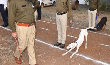 शाजापुर में पुलिस अधीक्षक ने किया जनरल परेड का निरीक्षण:उत्कृष्ट प्रदर्शन करने वाले पुलिसकर्मियों को किया सम्मानित, दरबार में सुनी समस्याएं