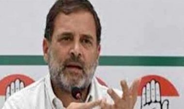 दलितों की उपेक्षा कर रही है सरकार : राहुल