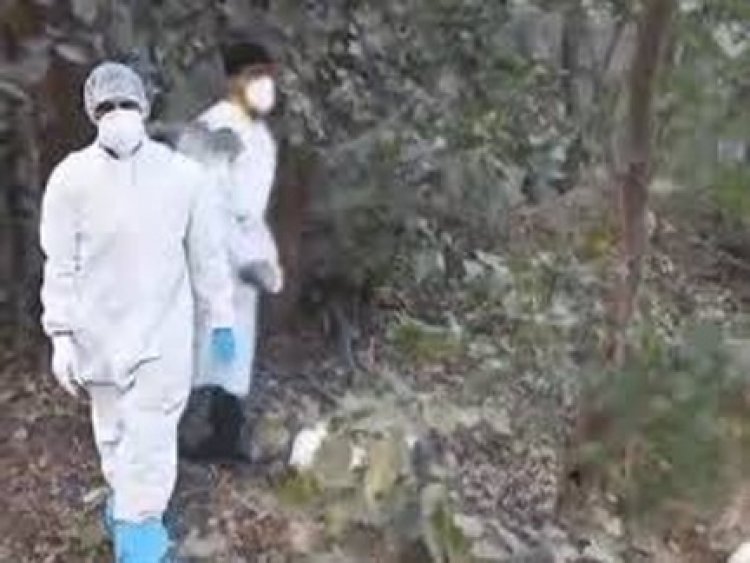 छत्तीसगढ़ के रायगढ़ के सरकारी पोल्ट्री फार्म में फैला बर्ड फ्लू