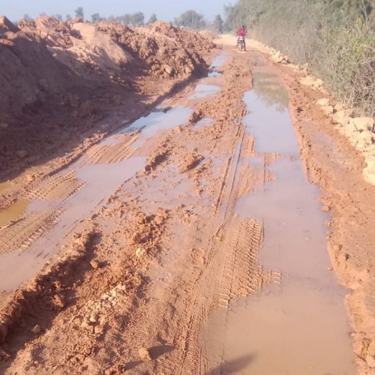 चंदोखा में मिट्टी से रेत बनाने से सड़क दलदल बनी:मवेशियों की मौत, टीकमगढ़ में नियमों की अनदेखी कर मिट्टी से रेत बना रहा एम-सैंड प्लांट