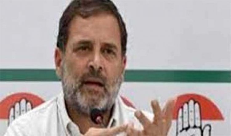 दलितों की उपेक्षा कर रही है सरकार : राहुल