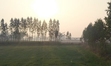 यूपी में दिन का पारा 4.7°C तक गिरा:30km की स्पीड से चल रही सर्द हवा, 4 दिन मौसम ऐसा ही रहेगा; बिजनौर सबसे ठंडा