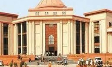 आरटीई के तहत दाखिले में गड़बड़ी, हाईकोर्ट ने शिक्षा विभाग से मांगा जवाब