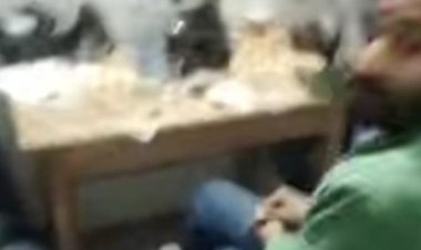 कानूनगो-लेखपाल की होली से पहले शराब पार्टी:बोले- 5 बजे के बाद सरकार ने दी पीने की अनुमति, सूर्य अस्त-ठाकुर मस्त; दोनों हुए सस्पेंड