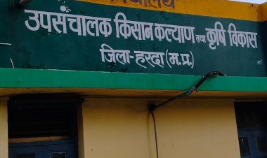 हरदा में कृषि विशेषज्ञों ने शासन को भेजी रिपोर्ट:उप संचालक कासड़े बोले- कीटनाशकों से मिट्टी-पानी में घुल रहा जहर; स्वास्थ्य पर खतरा