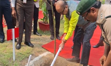 राज्यपाल रमेन डेका ने कोरबा कलेक्ट्रेट परिसर में ’एक पेड़ माँ के नाम अभियान‘ अंतर्गत किया पौधारोपण