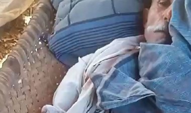 सीतापुर में बाघ का किसान पर हमला:भैंसों के झुंड की वजह से बचा किसान, डेढ़ महीने से बाघ को नहीं पकड़ पा रहा वन विभाग