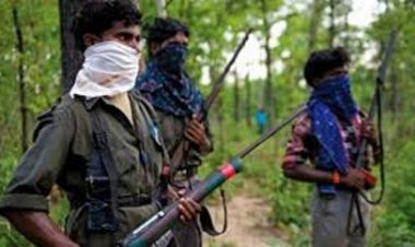 सुरक्षा बलों की लगातार कार्रवाई से नक्सलियों के संगठन स्तर पर हुआ फेरबदल