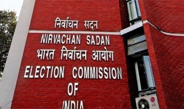 छत्तीसगढ़ में 6 प्रत्याशियों के 3 साल तक इलेक्शन लड़ने पर लगाया प्रतिबंध