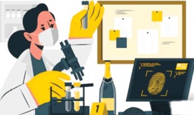 हाई कोर्ट ने राज्य सरकार से किया सवाल,छत्तीसगढ़ में क्यों नहीं डिजिटल फोरेंसिक लैब