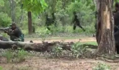 दंतेवाड़ा-बीजापुर बॉर्डर पर मुठभेड़ जारी, अब तक 3 ढेर