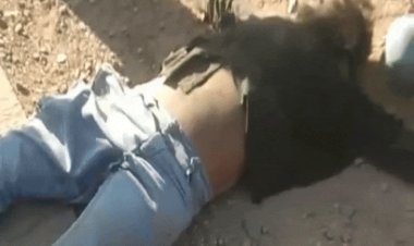 रीवा में बाइक-हाइवा की टक्कर, चार की मौत:मृतक में एक किशोर शामिल; ईद की नमाज अदा कर मोहनिया टनल घूमने गए थे