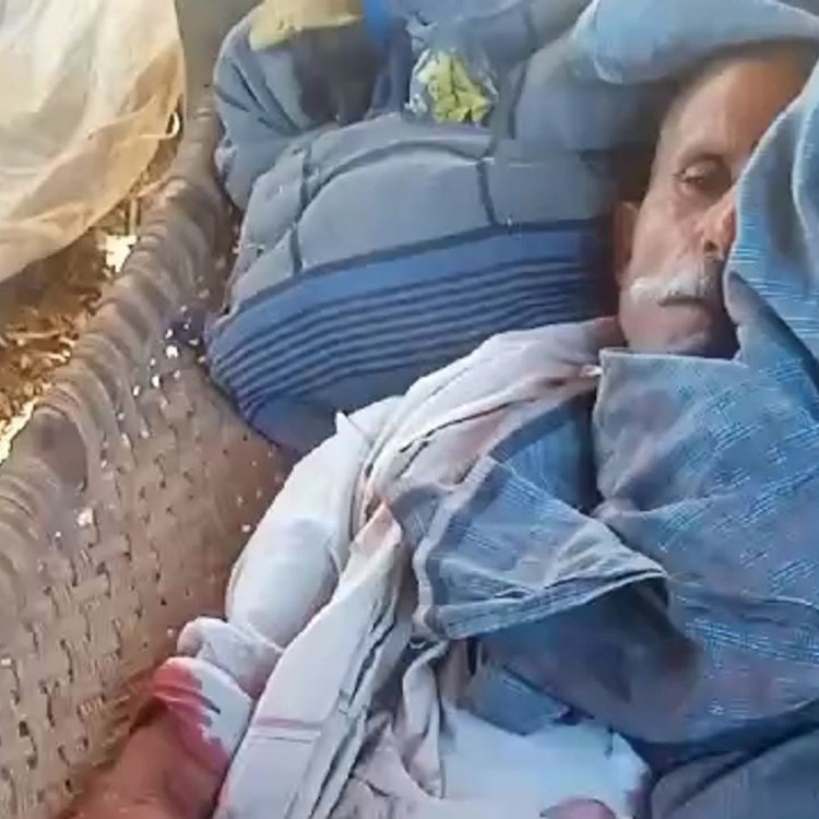 सीतापुर में बाघ का किसान पर हमला:भैंसों के झुंड की वजह से बचा किसान, डेढ़ महीने से बाघ को नहीं पकड़ पा रहा वन विभाग