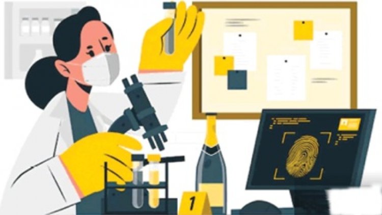 हाई कोर्ट ने राज्य सरकार से किया सवाल,छत्तीसगढ़ में क्यों नहीं डिजिटल फोरेंसिक लैब