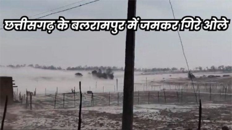 छत्तीसगढ़ के बलरामपुर में गिरे ओले,आसमानी बिजली गिरने से एक की मौत