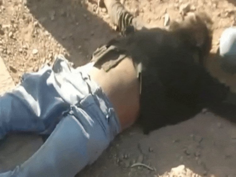 रीवा में बाइक-हाइवा की टक्कर, चार की मौत:मृतक में एक किशोर शामिल; ईद की नमाज अदा कर मोहनिया टनल घूमने गए थे