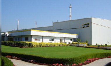 मैककेन इंडिया का मुनाफा वित्त वर्ष 24 में 29 प्रतिशत घटा