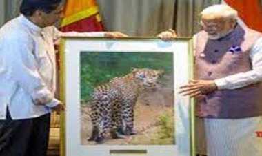 श्रीलंका के विपक्षी नेता प्रेमदासा ने मोदी को भेंट की तेंदुए की तस्वीर की कहानी बयां की