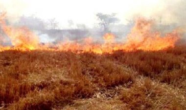 कटनी में नरवाई जलाने पर कार्रवाई जारी:स्लीमनाबाद में व्यवसायी के खिलाफ सातवीं FIR दर्ज, अब तक 9 लोगों पर कार्रवाई