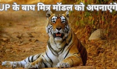 यूपी मॉडल की तर्ज पर छत्तीसगढ़ में भी बाघ मित्र योजना को लागू करने की तैयारी