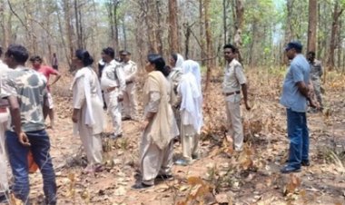 हाथी के हमले से महिला की मौत, 15 दिन में 6 लोगों की गई जान