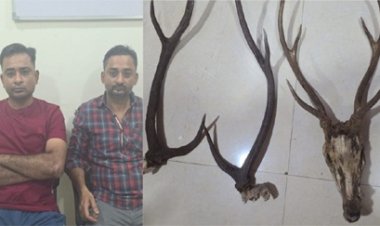 हिरण के सींग के साथ 2 शिकारी गिरफ्तार…