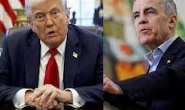 कनाडा चुनाव: ट्रंप ने मार्क कार्नी को दी जीत की बधाई, दोनों नेताओं के बीच क्या बात हुई?