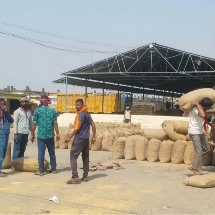गेहूं उपार्जन पंजीयन तिथि 9 अप्रैल तक बढ़ी:2600 रुपए प्रति क्विंटल पर होगा गेहूं उपार्जन; मोबाइल से घर बैठे कर सकते हैं स्लॉट बुकिंग