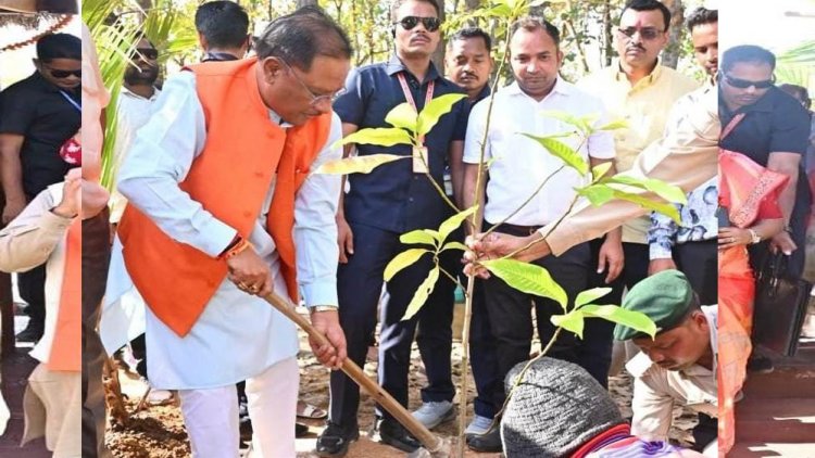 मुख्यमंत्री विष्णुदेव साय ने बगिया में पर्यावरण वाटिका का किया लोकार्पण