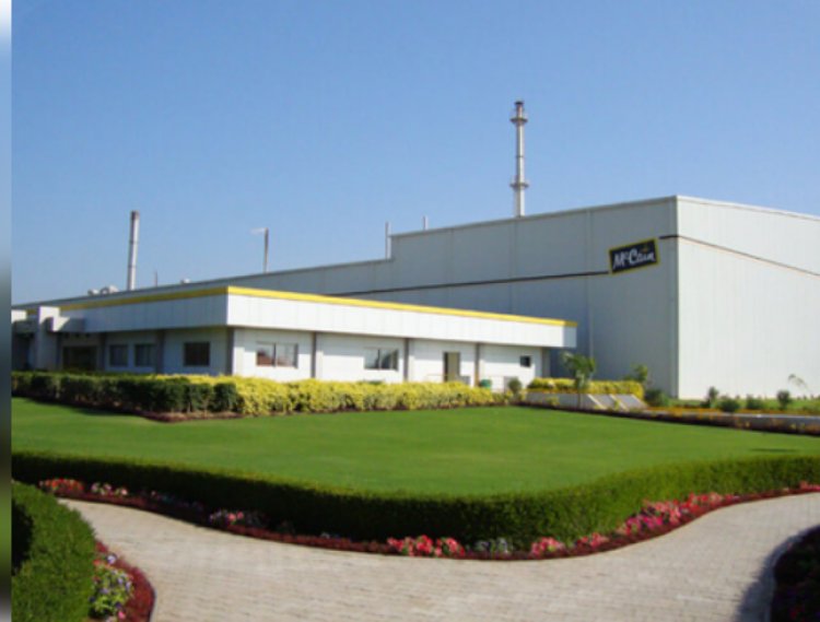 मैककेन इंडिया का मुनाफा वित्त वर्ष 24 में 29 प्रतिशत घटा