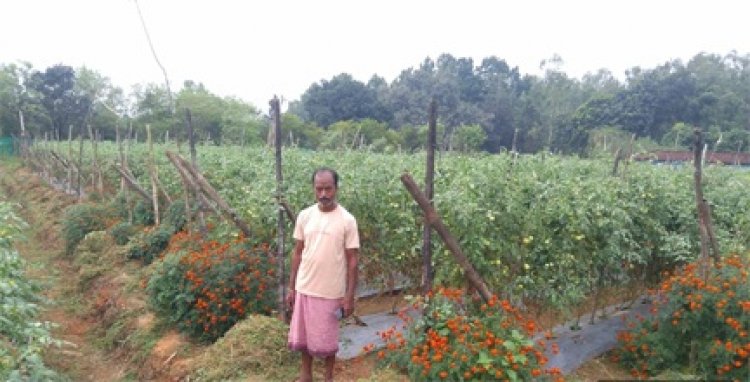 मुख्यमंत्री विष्णु के सुशासन में लोगों को मिल रहा शासकीय योजनाओं का लाभ