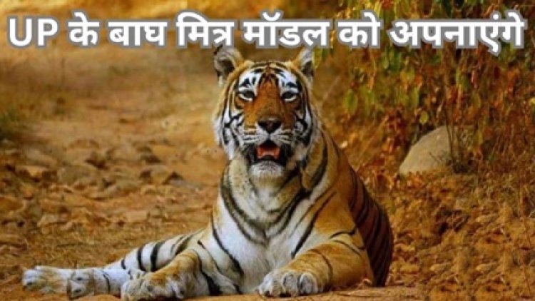 यूपी मॉडल की तर्ज पर छत्तीसगढ़ में भी बाघ मित्र योजना को लागू करने की तैयारी