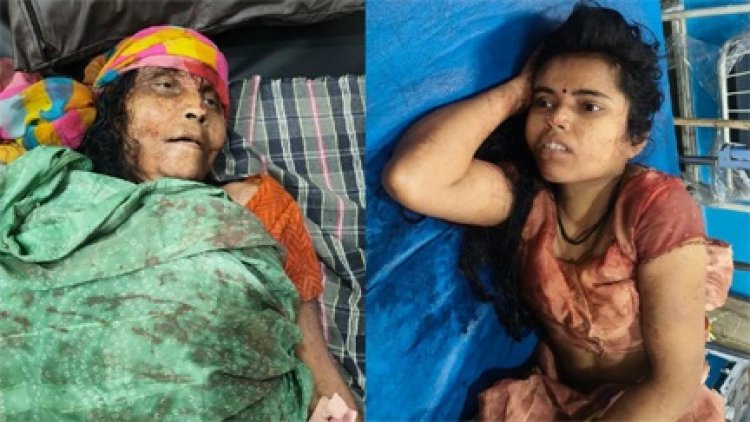 कुत्ता खरीदने के लिए 200 रुपए नही मिले तो बेटे ने मां को उतार दिया मौत के घाट, पत्नी पर भी किया जानलेवा हमला