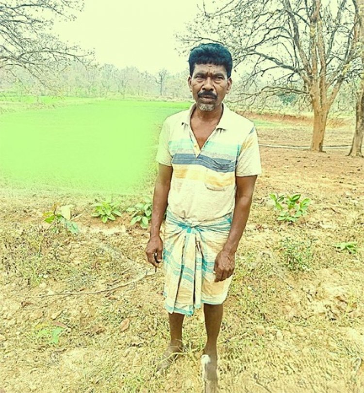 उग्रसेन की मेहनत और वन अधिकार पत्र: एक परिवार की उम्मीदों की कहानी