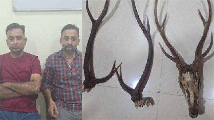 हिरण के सींग के साथ 2 शिकारी गिरफ्तार…
