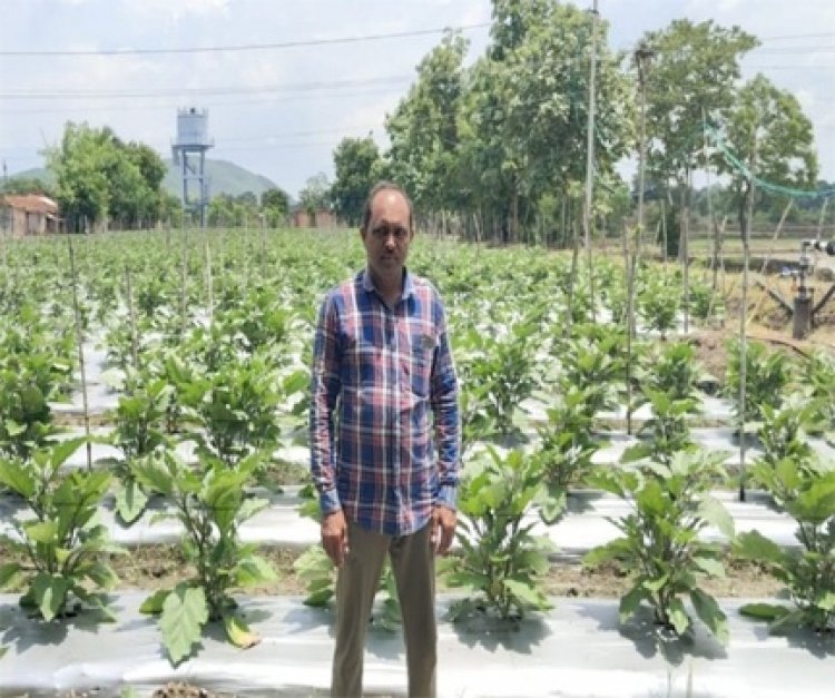 आधुनिक खेती से बढ़ा रमाकांत की आमदनी