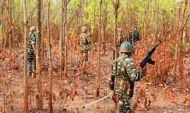 सुरक्षा बलों ने मुठभेड़ में 22 नक्सलियों को किया ढेर